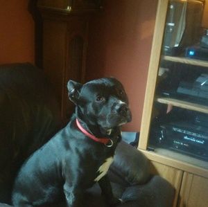 Meet your Posher, Jeff